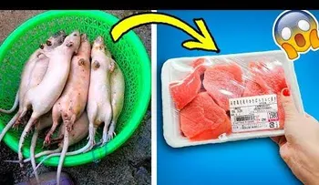 10 alimentos que jamás volverás a comer después de ver esto