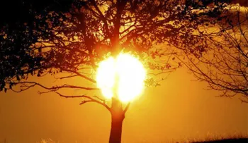 ¿Cómo afecta el calor a nuestro estado de ánimo?
