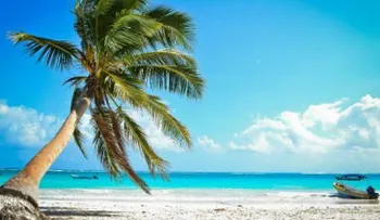 Razones por las que la playa es la mejor solución a tu estrés