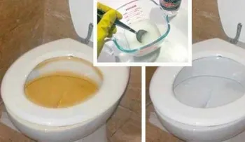 Limpia tu inodoro y tu baño con estos productos caseros que lo dejarán nuevo