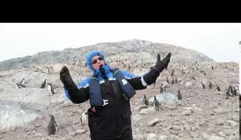 Unos pingüinos huyen despavoridos al escuchar a un cantante de ópera