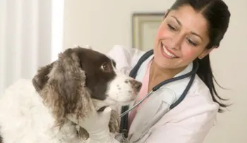 En Londrés usarán perros para detectar el cáncer