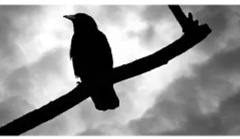 Los 10 sucesos paranormales más impactantes de la historia