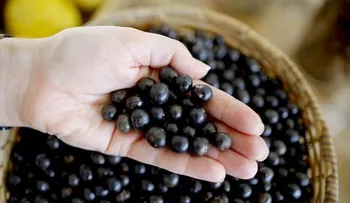 Las manos, una referencia para saber cuánto comer