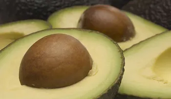 Cómo usar la semilla del aguacate para reducir la celulitis