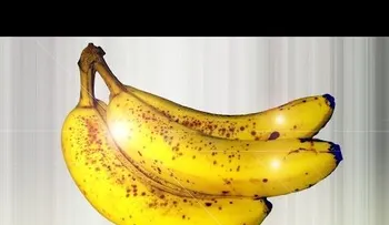 Comer dos bananas (guineos) al día: estos son los beneficios