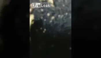 La Policía de Brasil tirotea a cuatro jóvenes mientras transmitían en vivo por Facebook