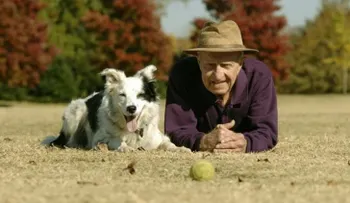 Muere el perro más inteligente del mundo; sabía más de 1.000 sustantivos