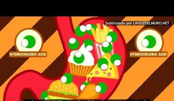 Cuando comes demasiado y te sientes mal (Video)