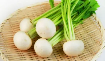 El nabo y sus increíbles beneficios para la salud