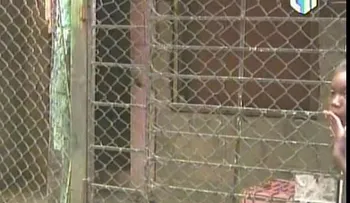 7 hombres violan y drogan a una joven de 20 años en Manoguayabo