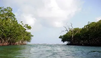Autoridades prohíben acudir a La Matica, en Boca Chica 