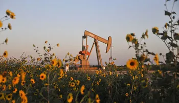 Una empresa colombiana inventa método para limpiar de petróleo las zonas afectadas por vertidos