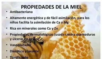 La miel cura muchas enfermedades, pero no sirve para todo lo que creemos: mitos y verdades