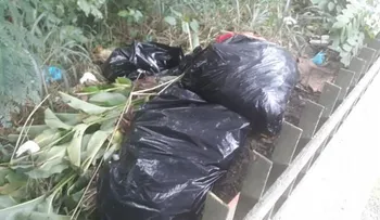 Comisión indagará  hallazgo de 7 piernas en el Mirador Norte
