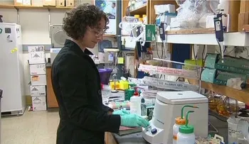 Esta semana inician ensayos de vacuna contra el ébola en humanos