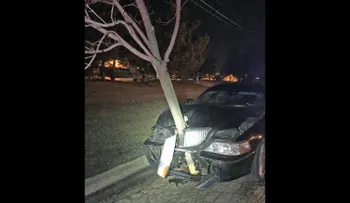 Una persona condujo un auto con un árbol de 4 metros incrustado en el capó