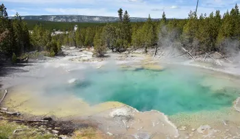 Un hombre cayó en un géiser en el parque Yellowstone