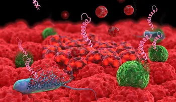  Nanopartículas podrían combatir bacterias resistentes a los antibióticos 