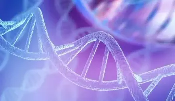 Identifican gen responsable de los defectos cardíacos en personas con síndrome de Down