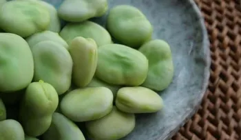 Científicos mexicanos elaboran bebida parecida a la leche que baja colesterol y glucosa