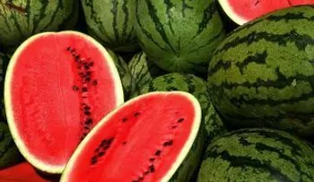 Las sandías irrigan sangre al pene durante la erección