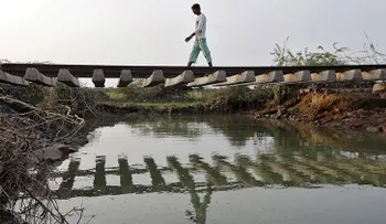 ¿Demonios o pesticidas? Una ola de suicidios mantiene en vilo a un pueblo indio