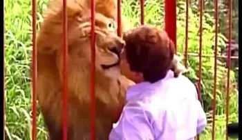 Leon reconoce mujer que le salvó la vida y la acaricia 