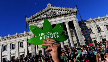 Farmacias de Uruguay venderán marihuana a partir de julio