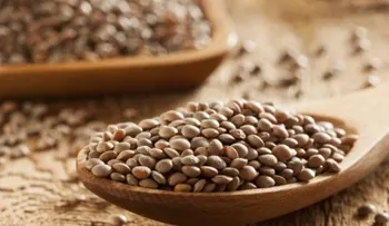 Los 10 alimentos que mejoran tu salud cardíaca