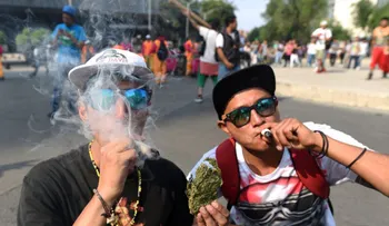 6 claves del nuevo debate sobre la legalización de la marihuana recreativa en México