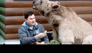 La increíble de Stepan, un oso que riega las flores y ve la televisión en Rusia