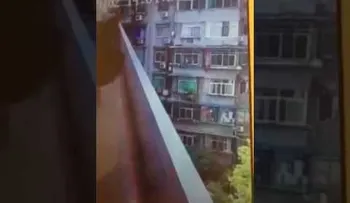 Dos niñas se disputan el amor de un chico, y una de ella cayó al vacío (VIDEO)