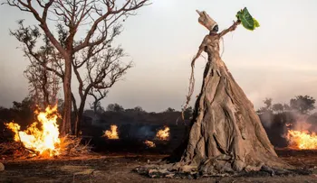 La profecía: la serie fotográfica que capta una visión aterradora del futuro