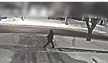 Difunden un video que permitiría poner tras las rejas al principal sospechoso de estrangular a Barry Sherman y su esposa en Canadá