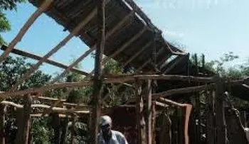 Ventarón provoca daños a casas y a la agricultura 