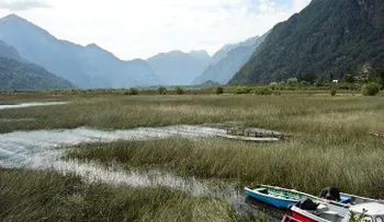 Generosidad sin límites: le hacen a Chile la mayor donación de tierras privadas del mundo