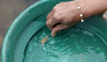 Elaboran un filtro capaz de separar los metales pesados y preciosos del agua
