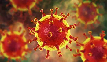 Supervivencia del coronavirus varía según humedad, temperatura y superficie