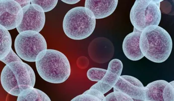 ¿Cuál es la diferencia entre la vaginosis bacteriana y la infección por levaduras?