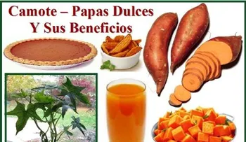 Las plantas curativas de DIOS