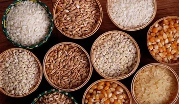 9 alimentos para nutrir el cabello y hacerlo más más grueso