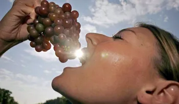 Vino: una copa al día es saludable si acompaña a la comida