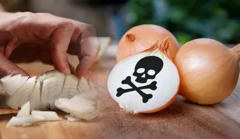 Si usa la cebolla otra vez, pone tu vida en peligro. Los restos recogen virus que son venenosos