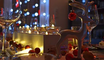 Anota estas 10 recetas para cocinar aves en Navidad, Año Nuevo o cualquier fecha especial