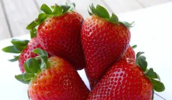 Conoce 5 frutas que te ayudarán a limpiar el colon
