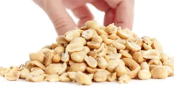 Alergia al cacahuate podría estar relacionada con mutación genética de la piel