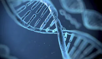 El impacto ambiental se transmite por los genes hasta en 14 generaciones