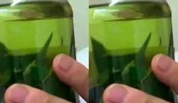 Por qué no me lo dijeron antes; hojas para desaparecer el colesterol, trigliceridos, diabetes y úlceras
