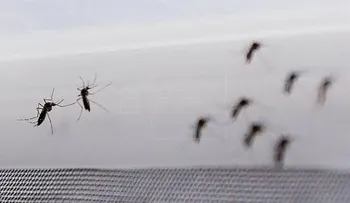 Registrado en Madrid el primer contagio por vía sexual de zika en España